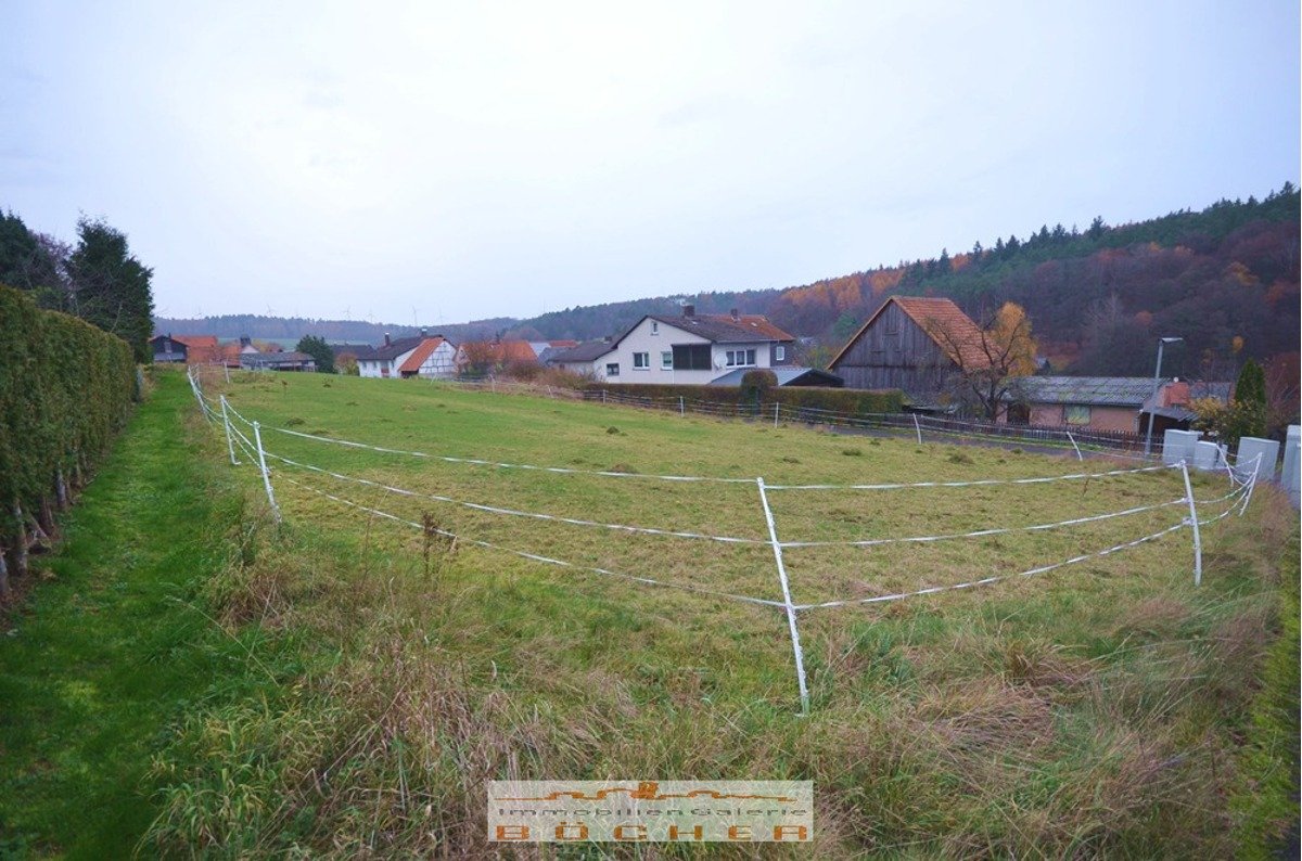 Schnäppchen: Sonniges Grundstück in Grebenau zu verkaufen Schnäppchen: Sonniges Grundstück in Grebenau zu verkaufen